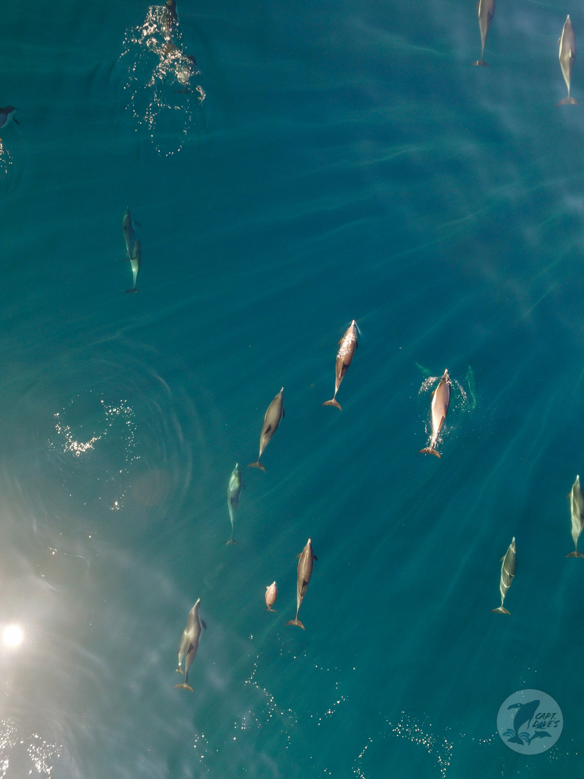 什么样的活动有利于团队建设,企业团队建设的核心理念是什么