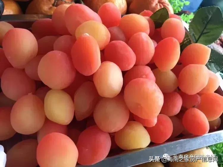 爱上大理的365个理由（第3季51-75）