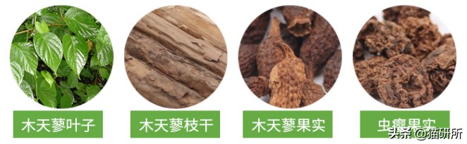 猫咪省钱好物维生素,猫咪必买的10种单品