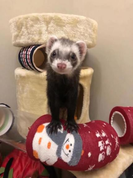 装修避坑攻略文字,装修避坑指南没有干货