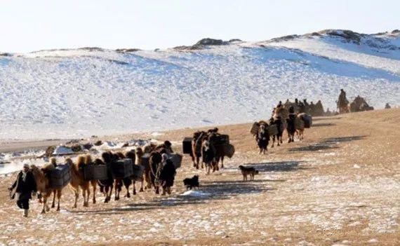 蒙古国外蒙怎么称呼,外蒙古怎样称呼国人