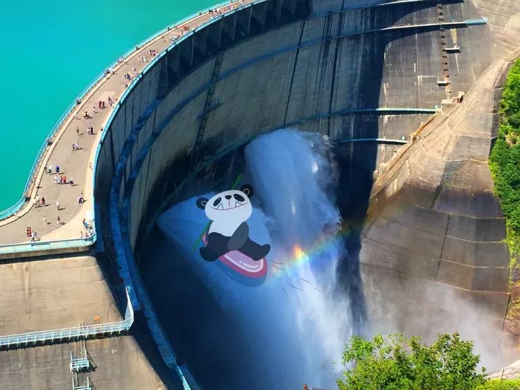 这只成都神兽包揽了多个全国第一，竟然还要被催婚？