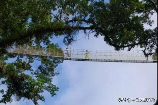 云南又在央视火了！这份云南2019新简历要藏不住了！