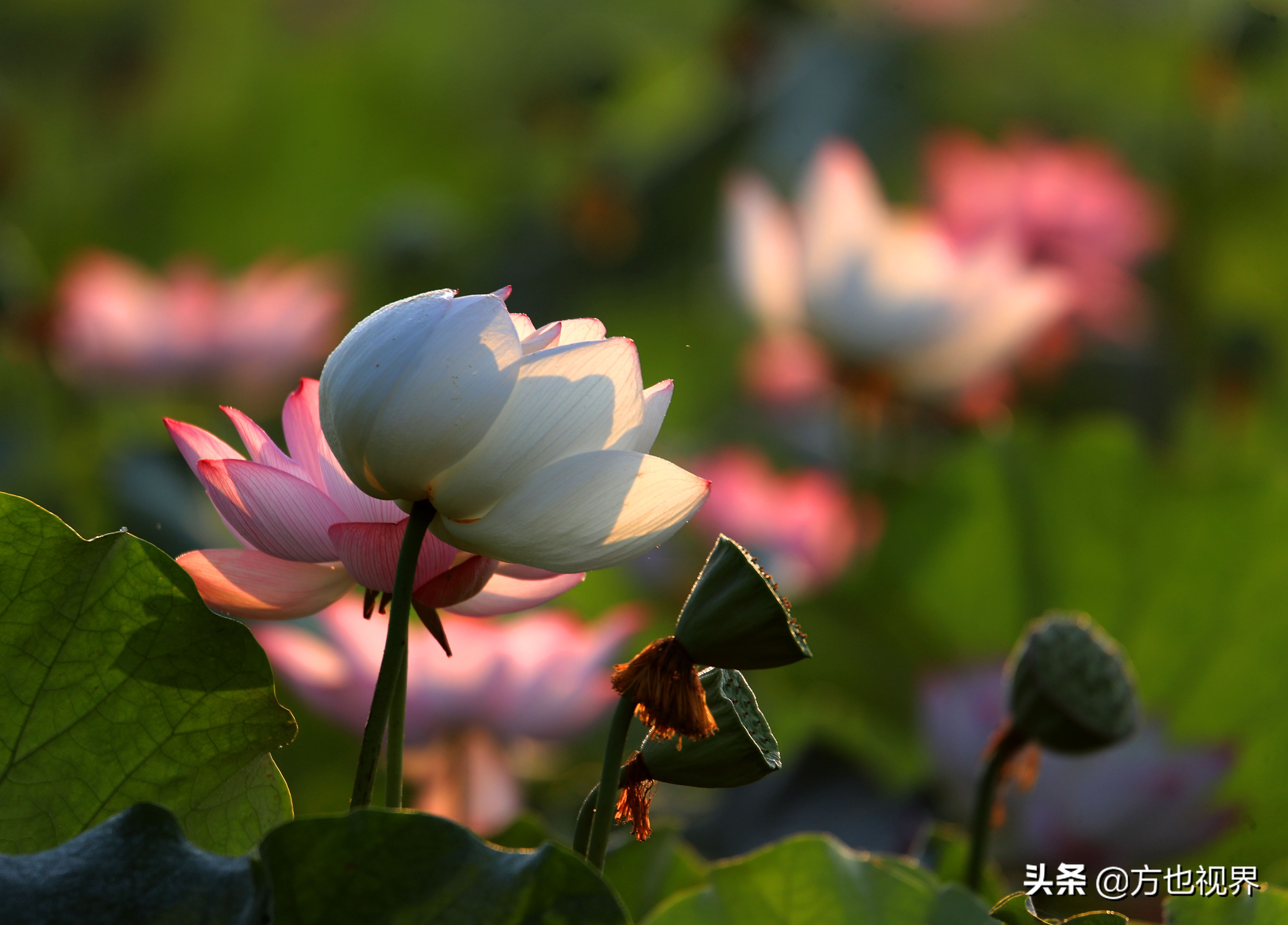 26日旅游热点回顾：开车自驾游，最好把这些准备工作做足，有备无患，一路安全又省心