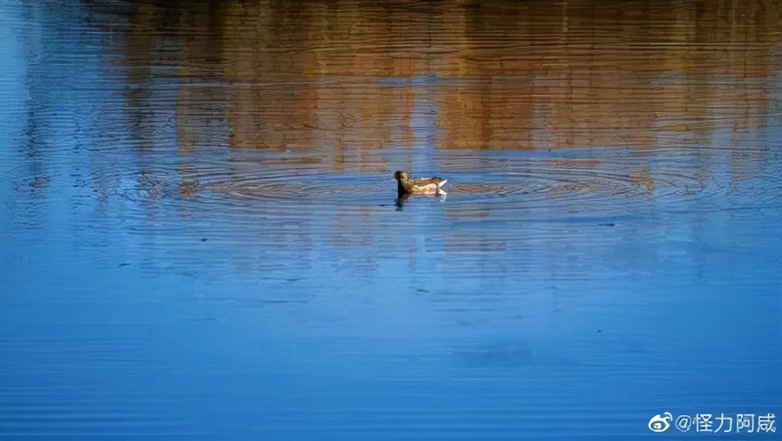 昆明连发13条寒潮预警,昆明今天有哪些地方会下雪