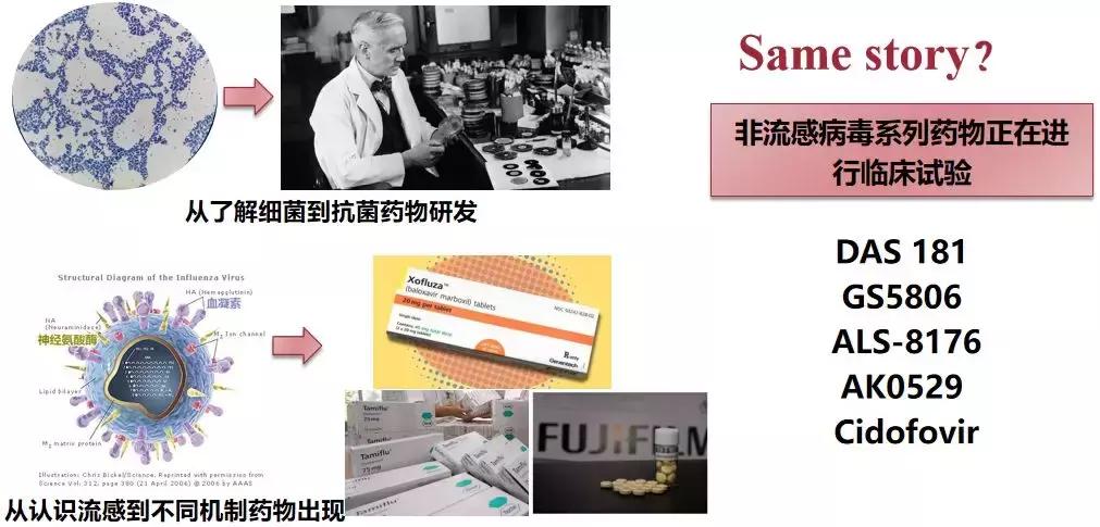 免疫正常成年CAP患者，非流感与流感病毒性肺炎病情严重程度相似