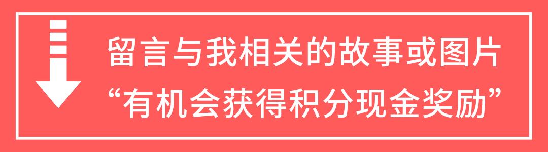 渭城文林学校简介,咸阳秦都文林学校