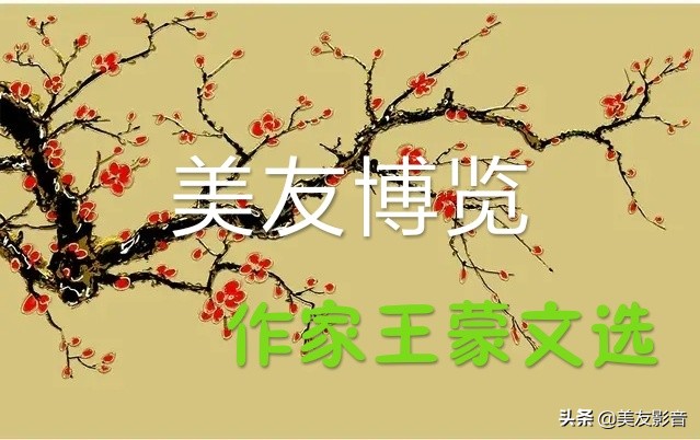 【美友博览】作家王蒙《笑而不答（91-95）》