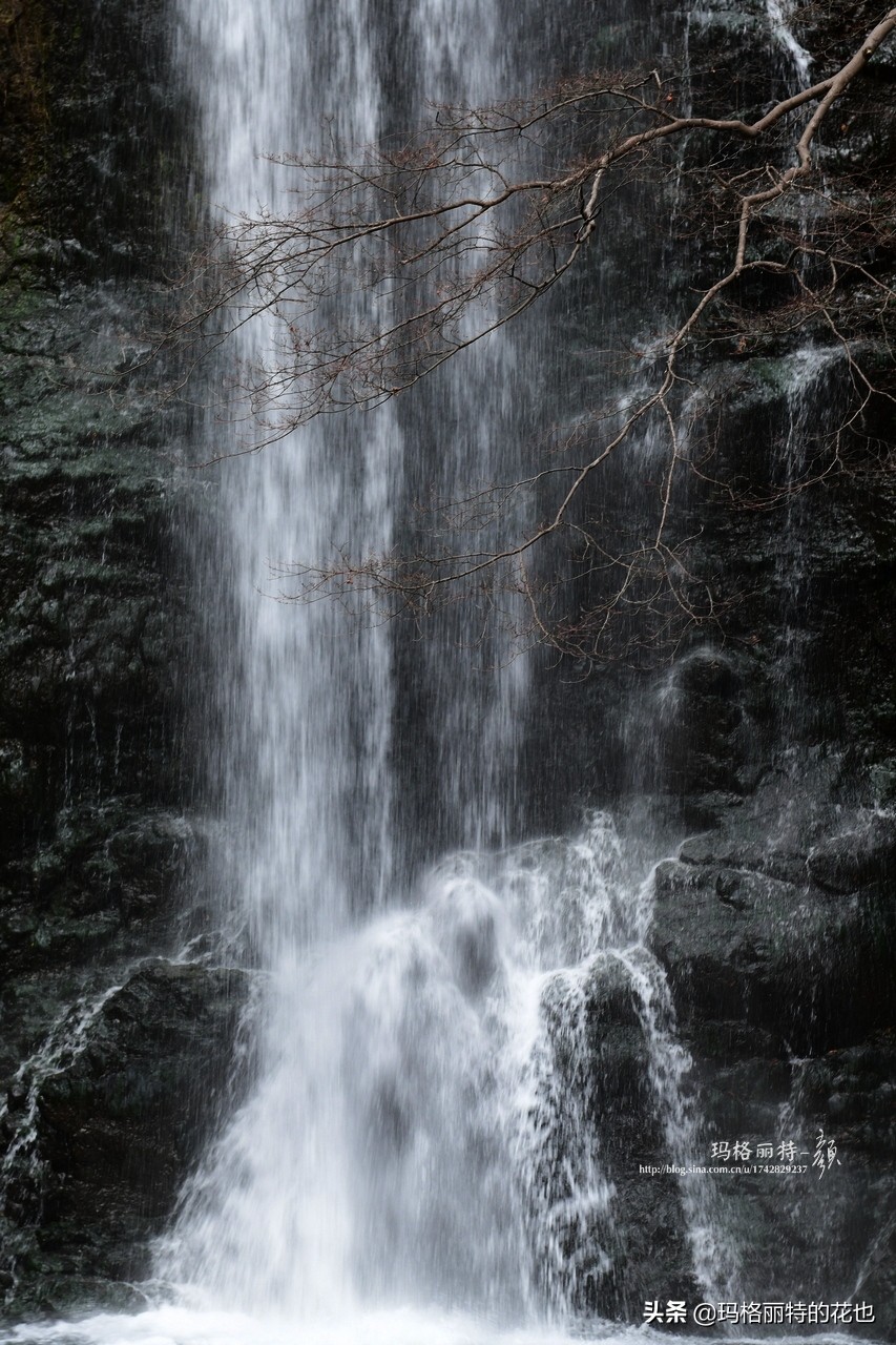 萁田森林公园和大阪的省钱之旅|行摄日本