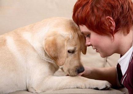 老人养狗的好处与坏处,养狗的好处和坏处