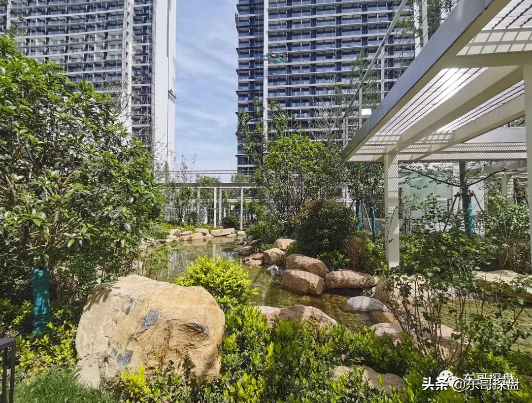 万万没想到，他捅了郑州刚需盘的“窗户纸”