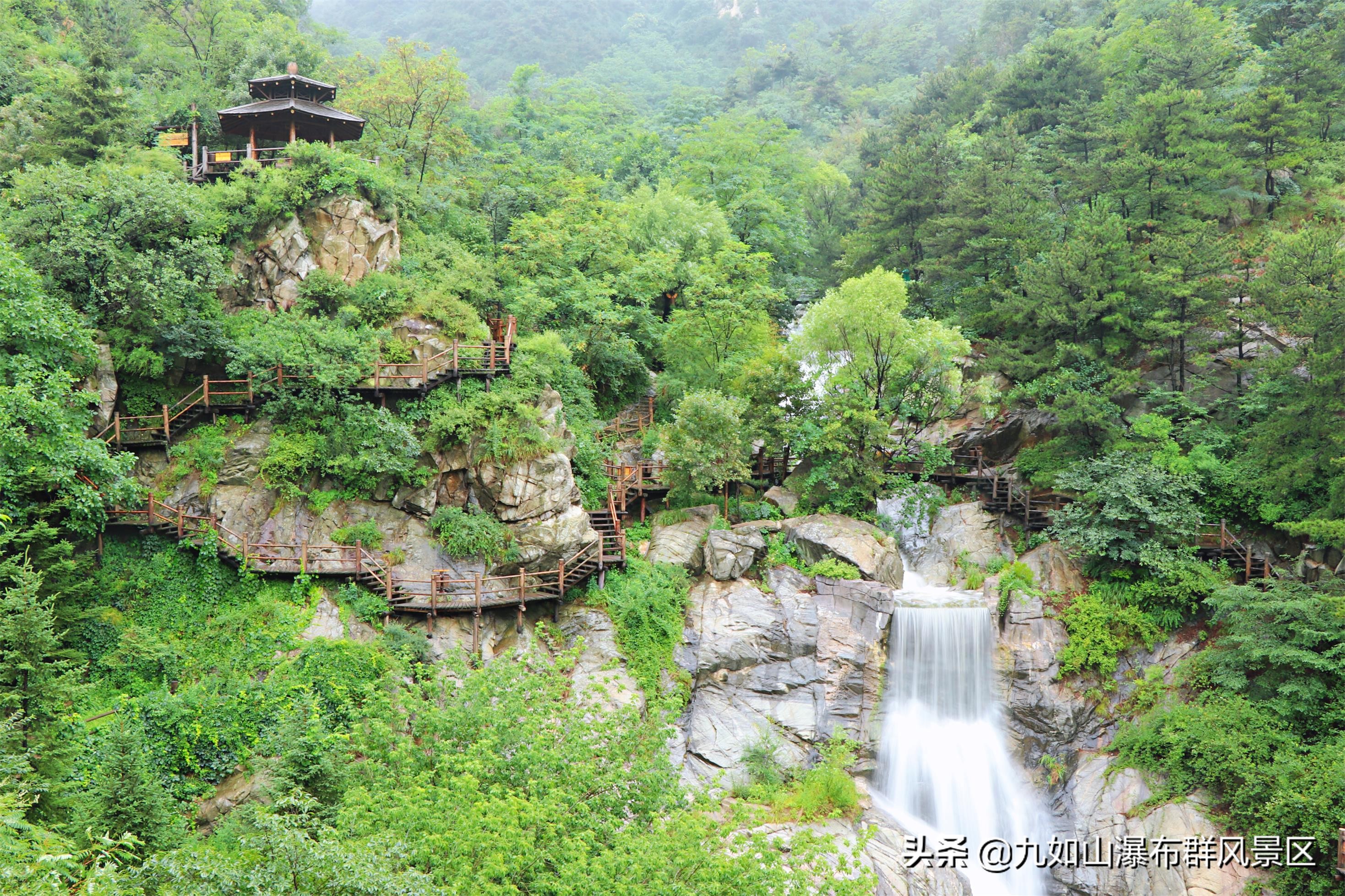 济南九如山60岁以上老人免票吗,济南九如山60岁老人免票吗