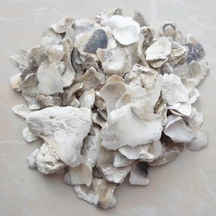 执业中药师常用单味药,中药药剂师必看的书