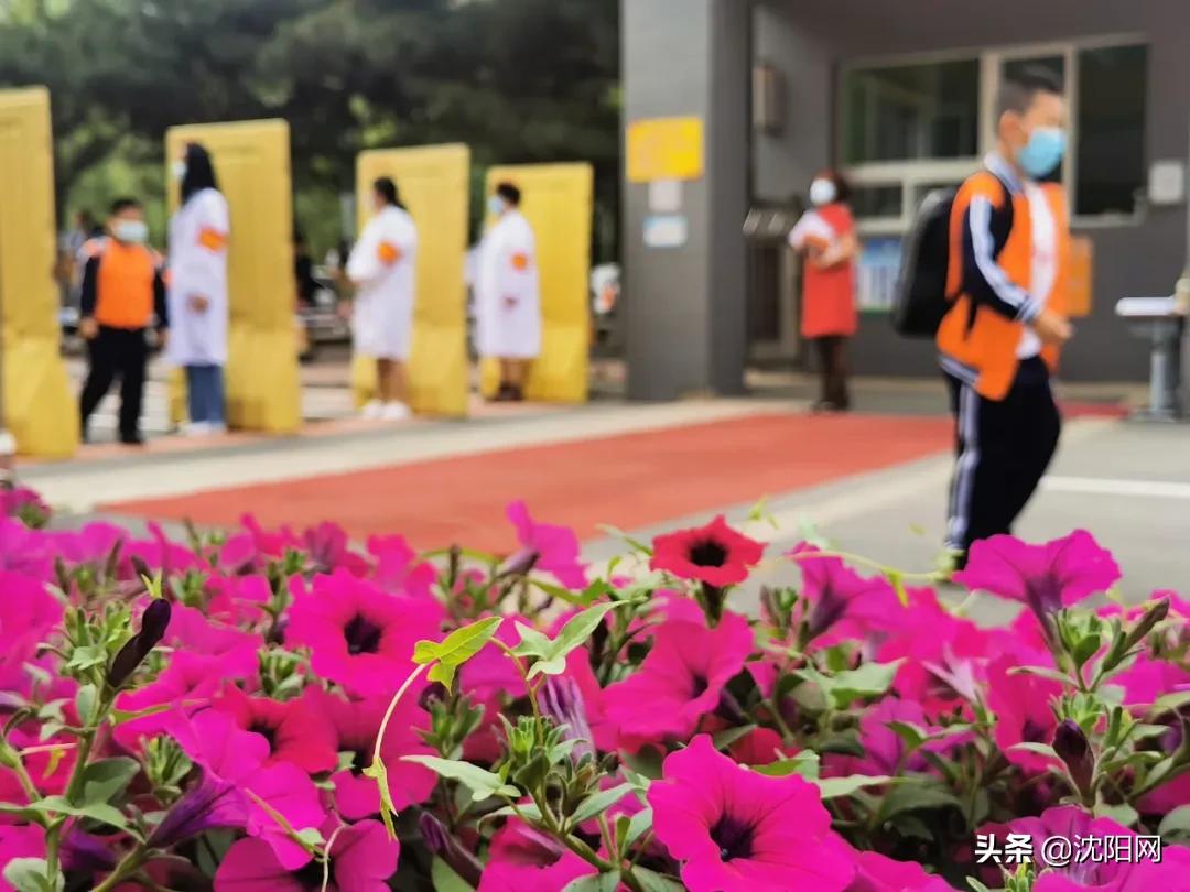 最新儿童疫情情况,沈阳儿童皮肤病