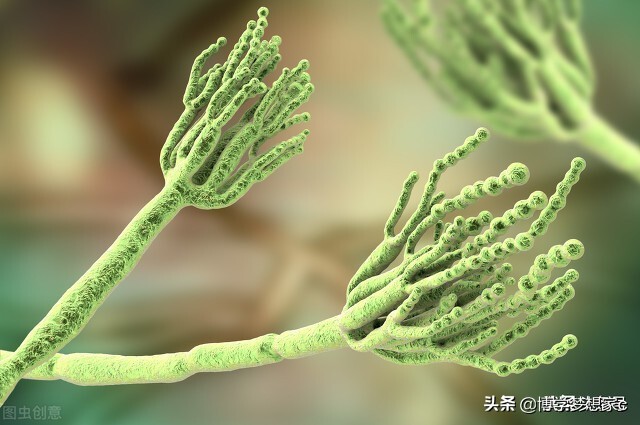 治脚气的药膏哪个效果好,除了达克宁还有什么脚气药