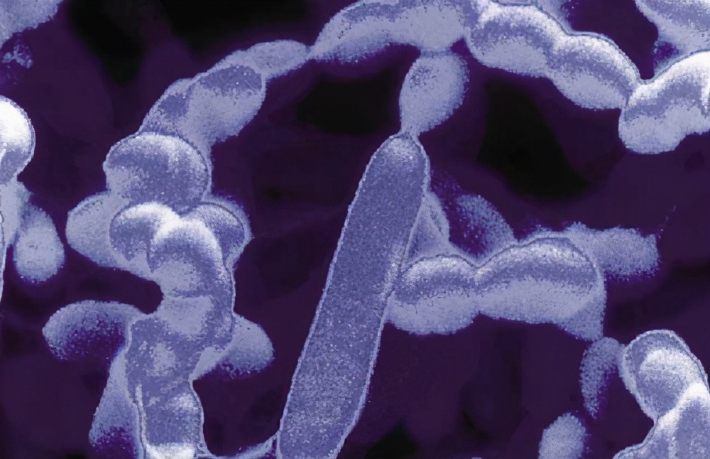 治疗结核病的“神药”，竟然坐过40年“冷板凳”