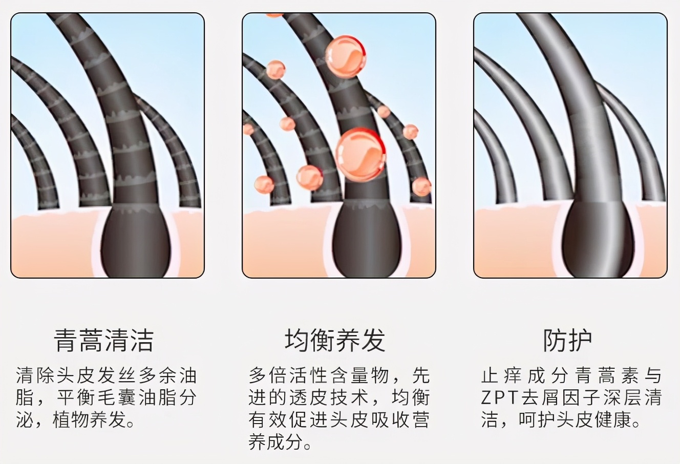 明星亲测力推同款洗发水,康王亲测