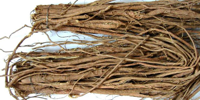 宁夏特产滩羊肉介绍,宁夏特产发菜