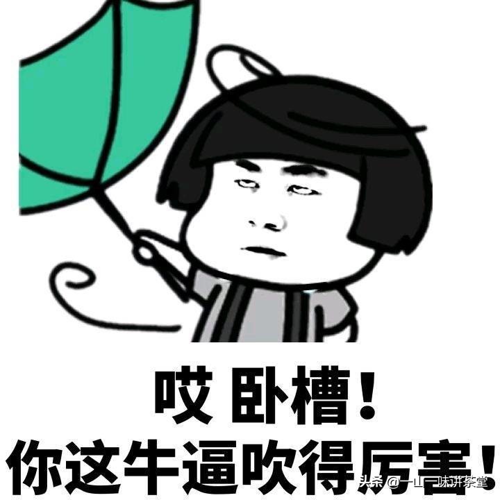 普洱茶新手入门基础知识,普洱茶茶友个人的品鉴心得和感受