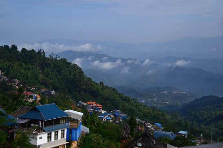 好茶分享南糯山熟普,南糯山的好茶
