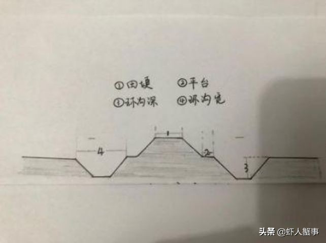 小龙虾养殖场基地赚钱吗,小龙虾养殖户的出路