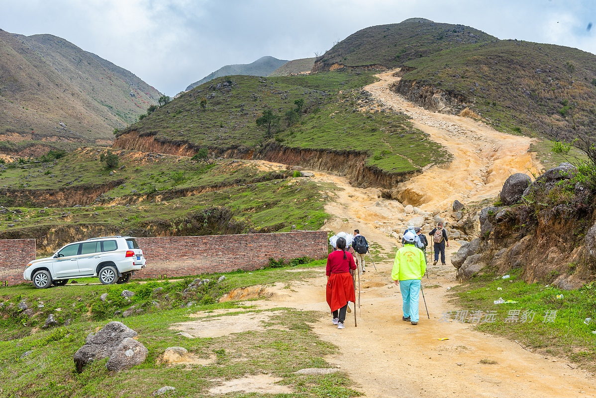 走最远的路,航拍广东最壮美的野生杜鹃花海