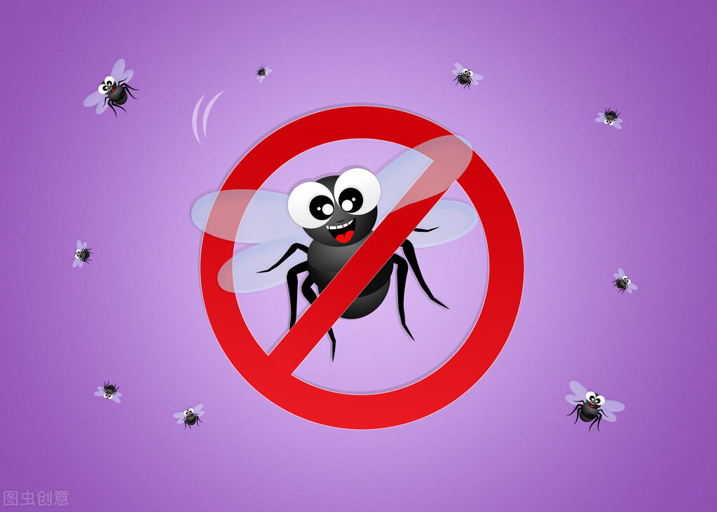 俗称臭大姐的虫子是益虫还是害虫,狗婆蛇是保护动物吗