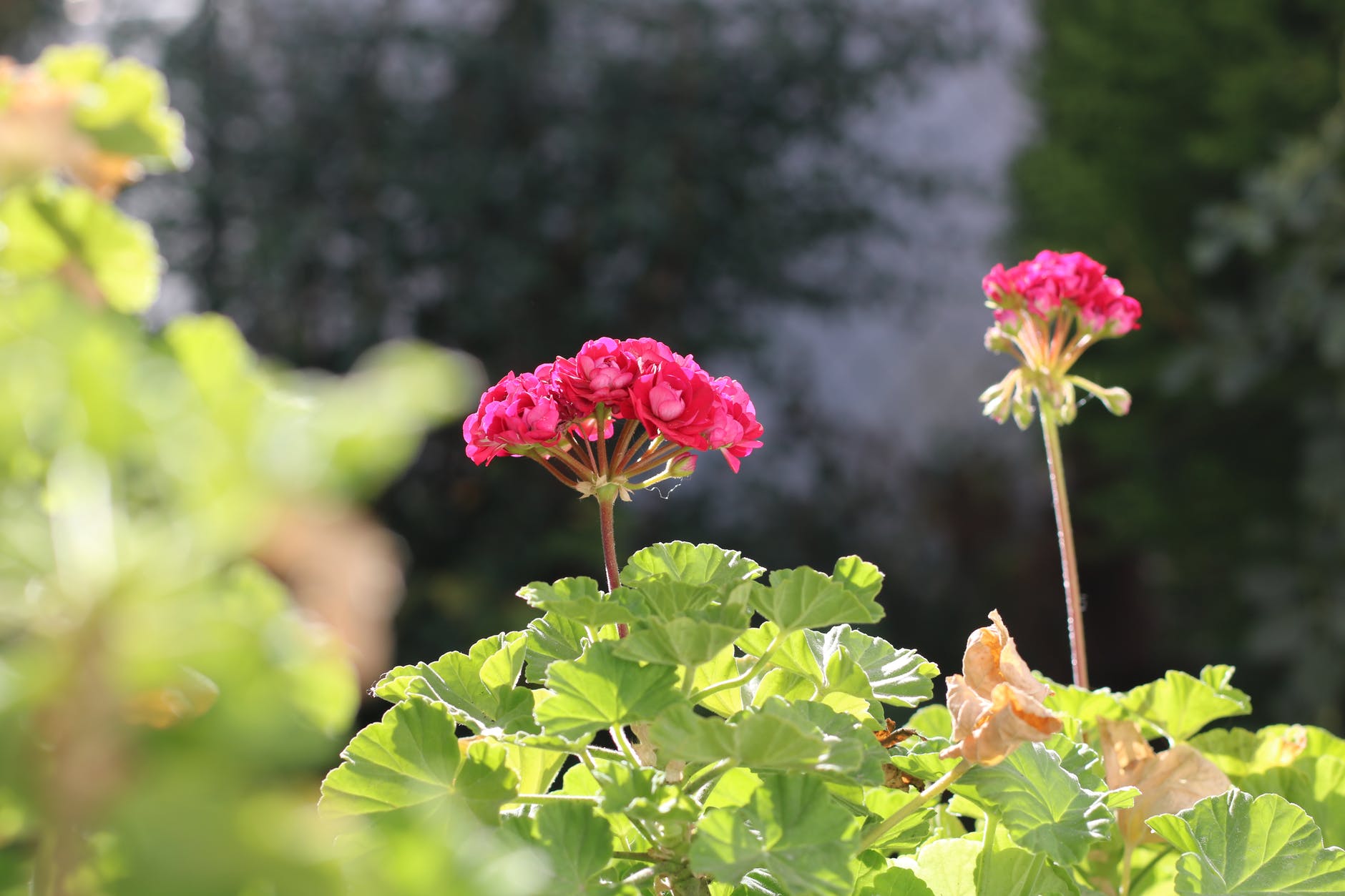 为什么会嫉妒老公的前女友,嫉妒男友的前女友