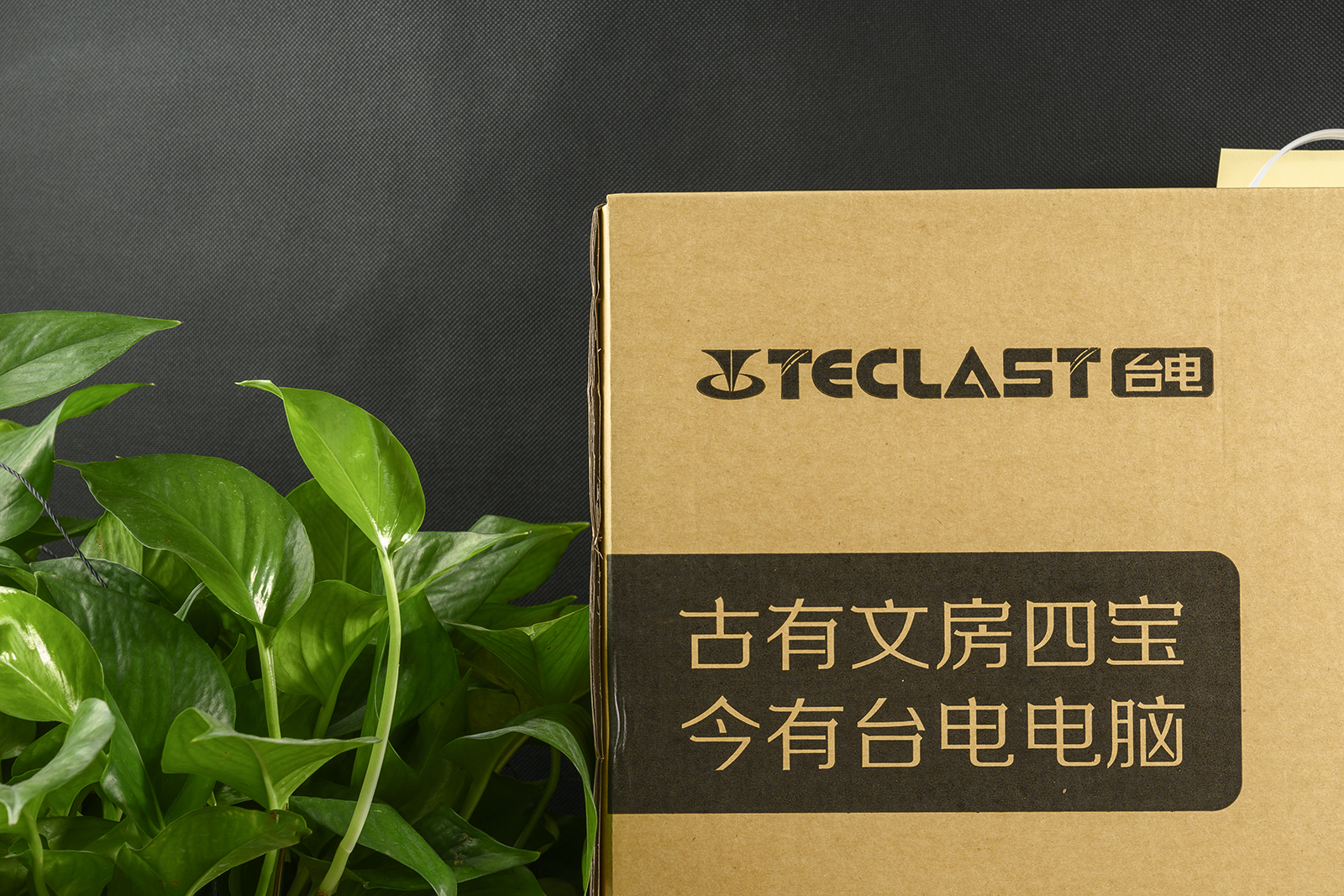 网课娱乐办公一站解决，台电一体机电脑C24AirA8C