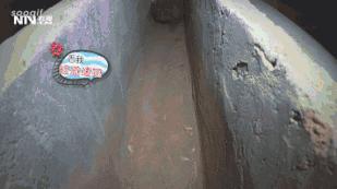 竹鼠关进小黑屋怎么样,竹鼠养殖关进小黑屋是什么效果