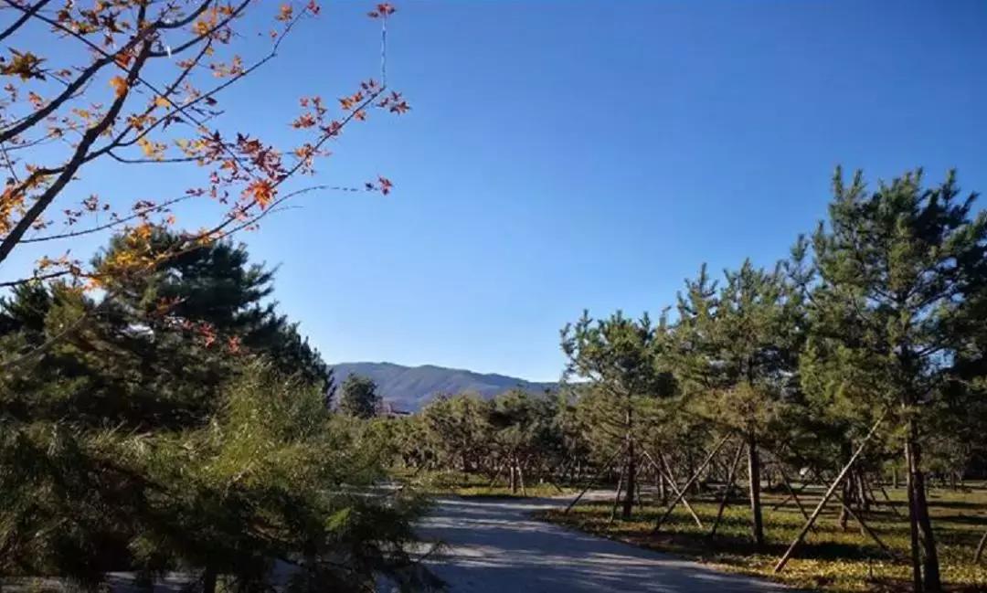 北京海淀区新建的公园,海淀新开放公园