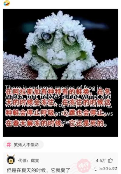 男朋友被女朋友逼着穿上女装,女朋友逼男朋友穿女装