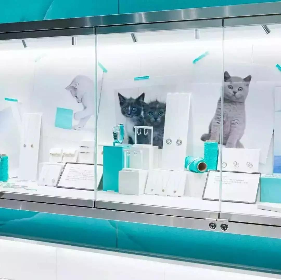 tiffanycafe纽约,tiffanycafe香港广场