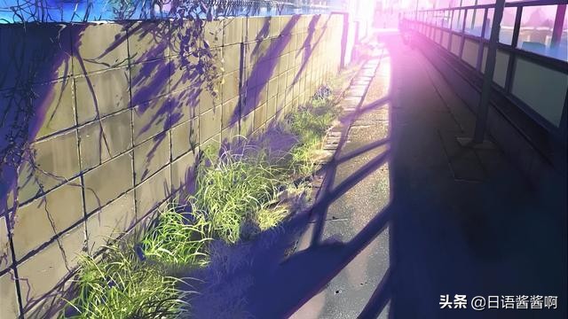 动漫中的常见日语你都会说吗,动漫中的日语你知道哪些