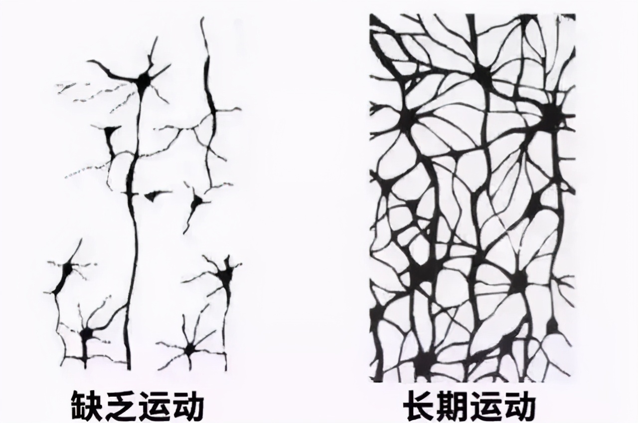 李玫瑾孩子12岁前要多运动,李玫瑾培养小孩这两项运动很重要