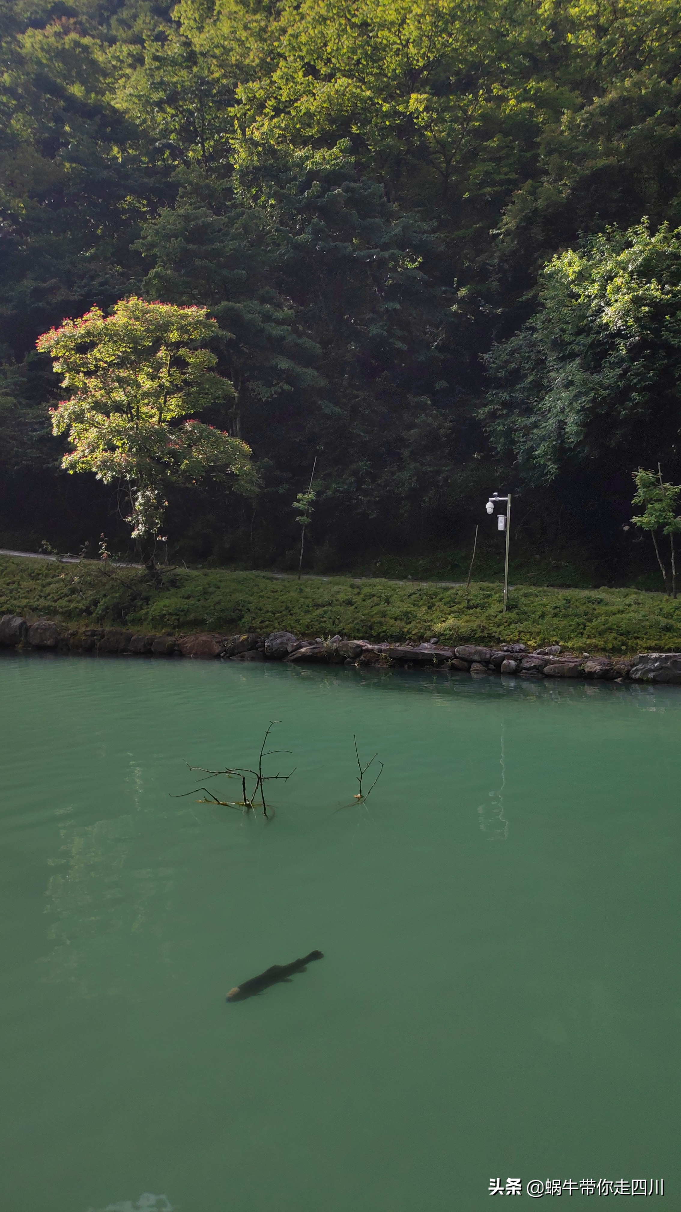 带小朋友出去看小动物,带小孩去海洋动物园