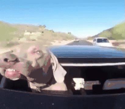 这样买车最高竟然能省20多万？免税车政策你必须来了解一下