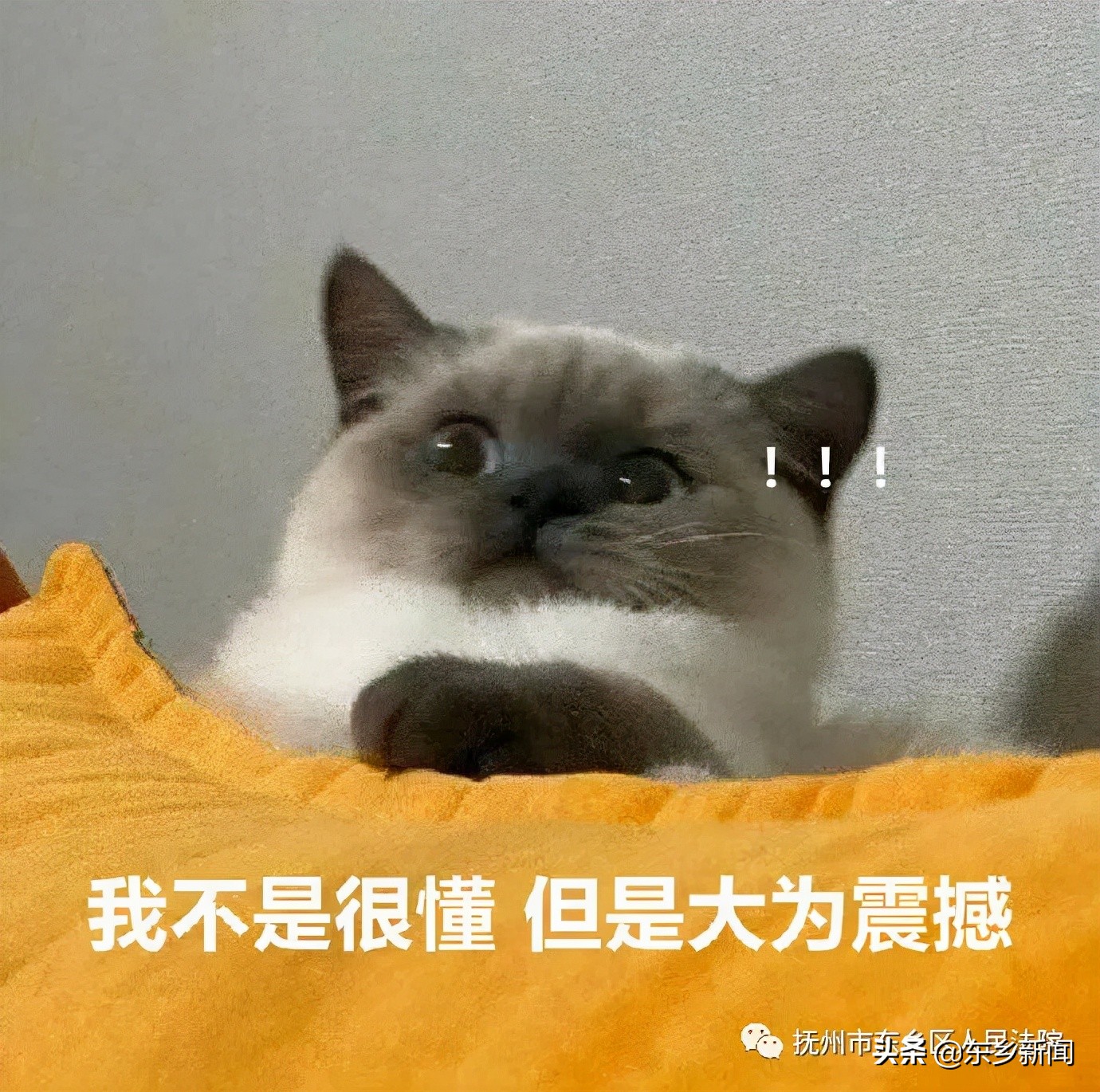 抚州最近抓赌案件,东乡县赌博案