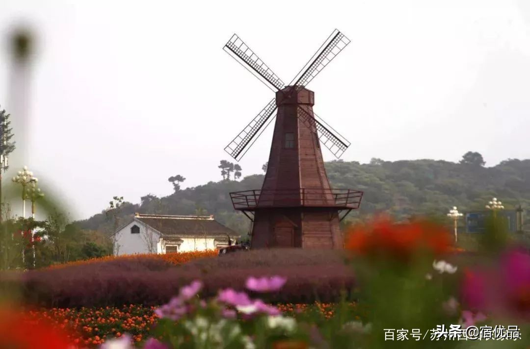 苏州太湖花海主题公园,太湖花海游乐场