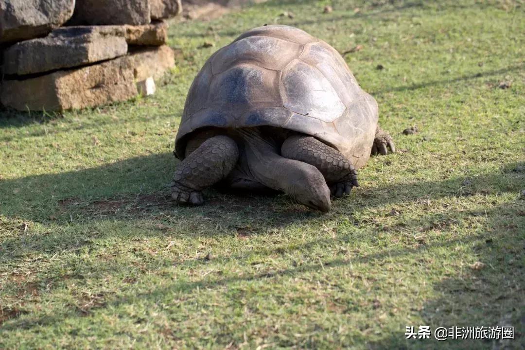 适合夏天去的免签海岛,4个免签的绝美海岛