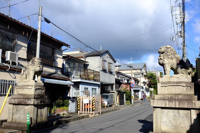 京都赏枫2022,京都赏枫必去景点有哪些好玩的