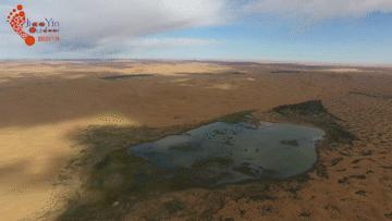 沙漠亲子营价格 (沙漠亲子陪伴营优惠政策)