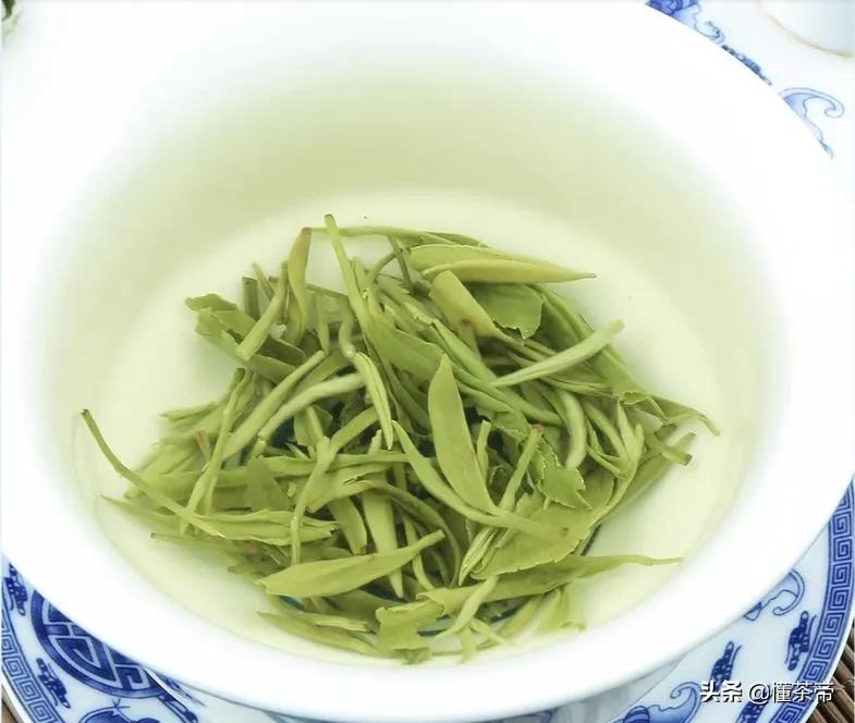 十大名茶最新排名白茶,哪里的雪芽茶叶最好