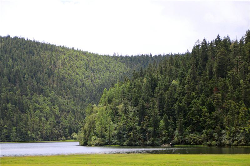 普达措碧塔海公园,普达措公园碧塔海风景区