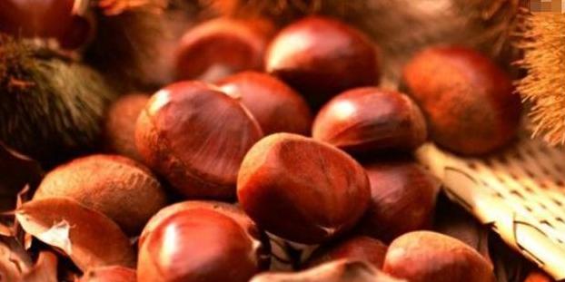 连云港什么特产最出名,连云港特产在哪里买最好