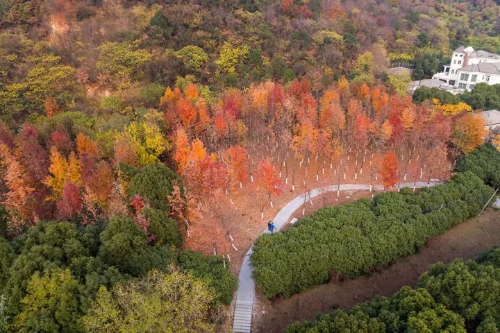 一入秋西安就美成长安,一入秋杭州就美成临安