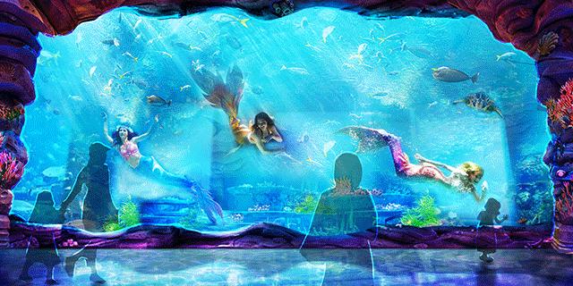 深圳暑假值得带孩子旅游的地方,深圳十大暑假室内必去景点