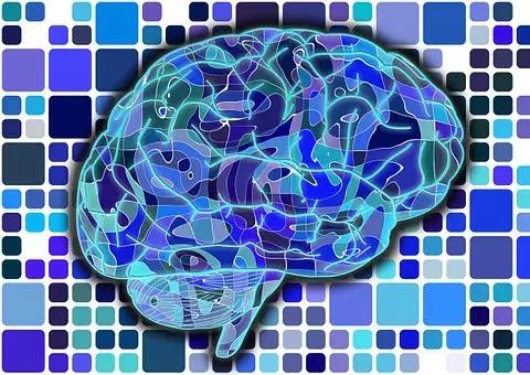 cnn最新研究发现,cnn最新研究新闻