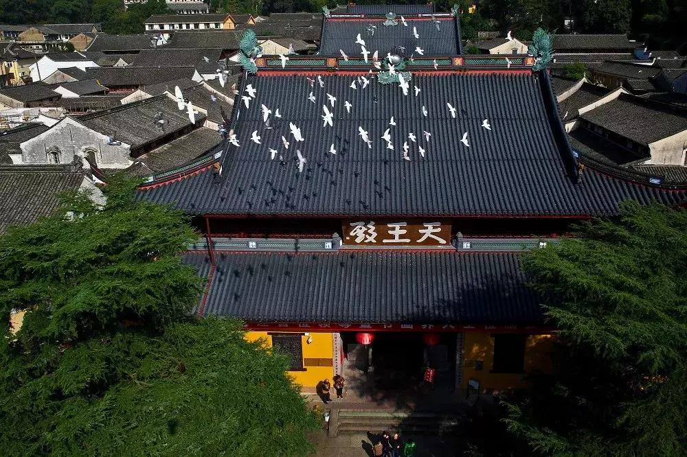 宁波北仑哪里有些免费的游玩景点,宁波北仑景点排名前十名