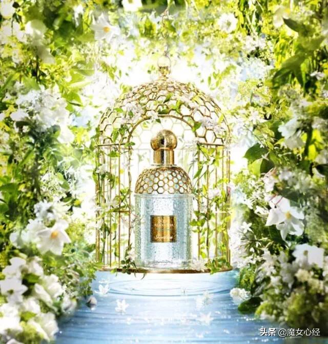 最适合夏天用的10款大牌香水,介绍推荐几款经典的绿茶香水